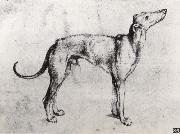 Albrecht Durer A Grayhound painting